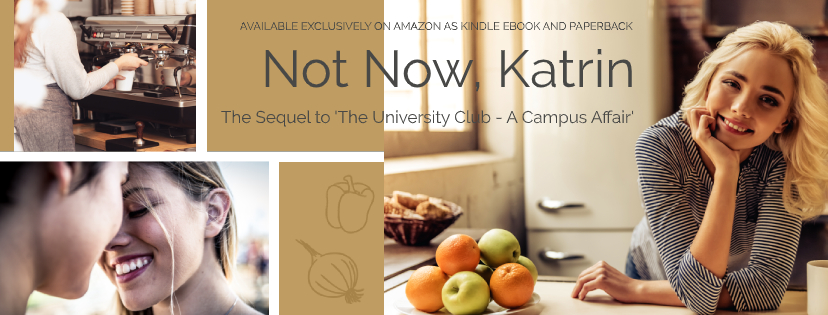 Not Now, Katrin - the sequel to Warren Laine-Naida's The University Club - A Campus Affair